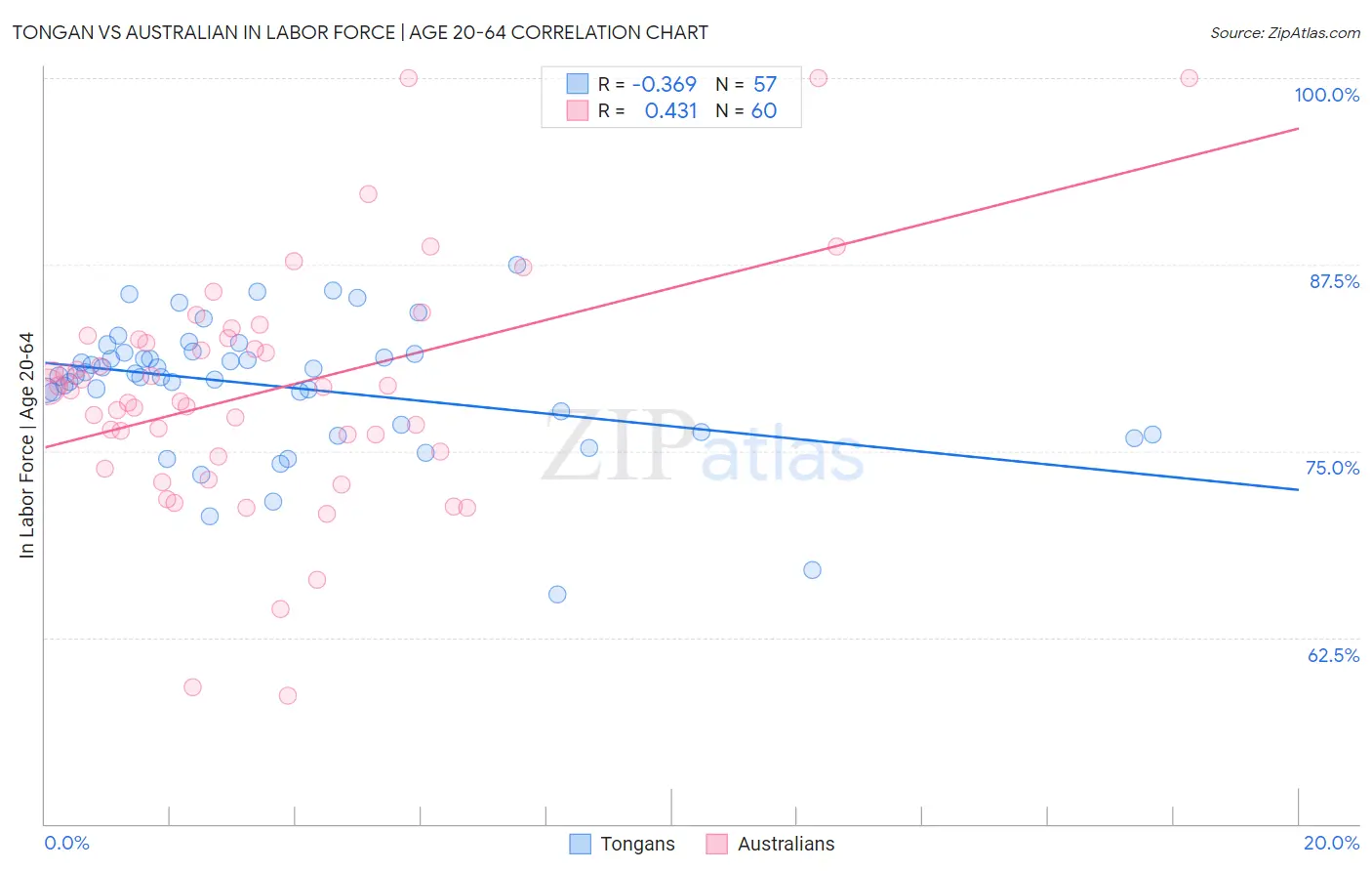 Tongan vs Australian In Labor Force | Age 20-64