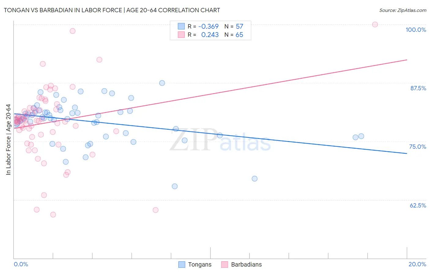 Tongan vs Barbadian In Labor Force | Age 20-64
