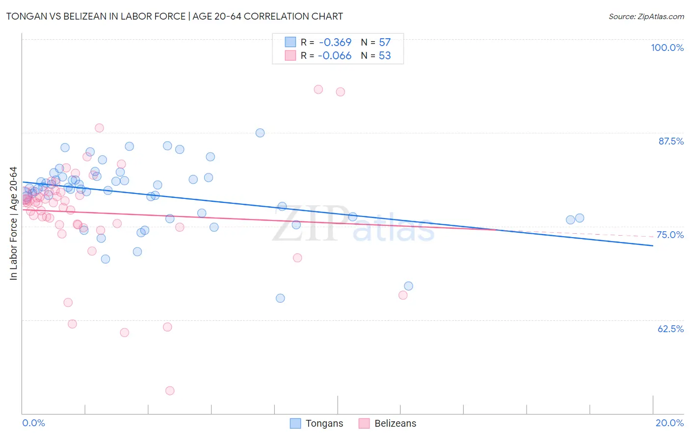 Tongan vs Belizean In Labor Force | Age 20-64