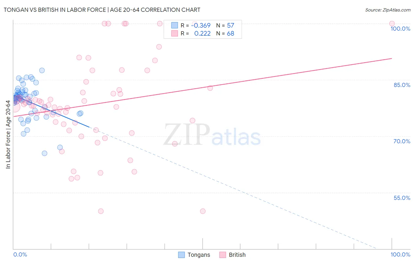 Tongan vs British In Labor Force | Age 20-64