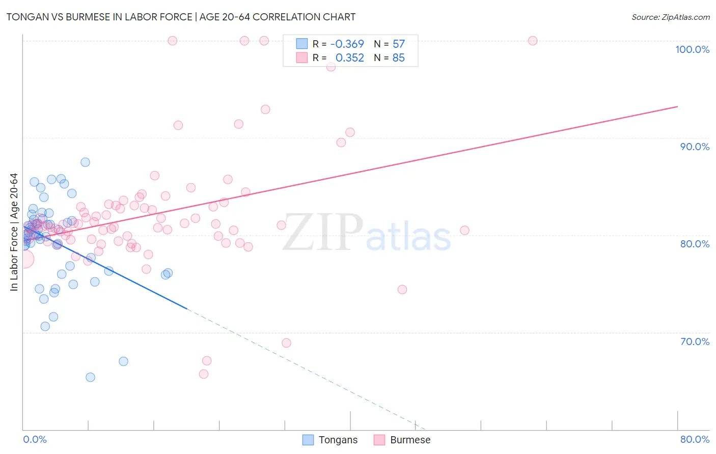 Tongan vs Burmese In Labor Force | Age 20-64