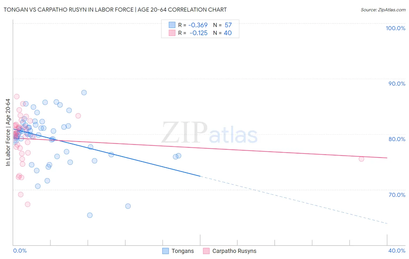 Tongan vs Carpatho Rusyn In Labor Force | Age 20-64