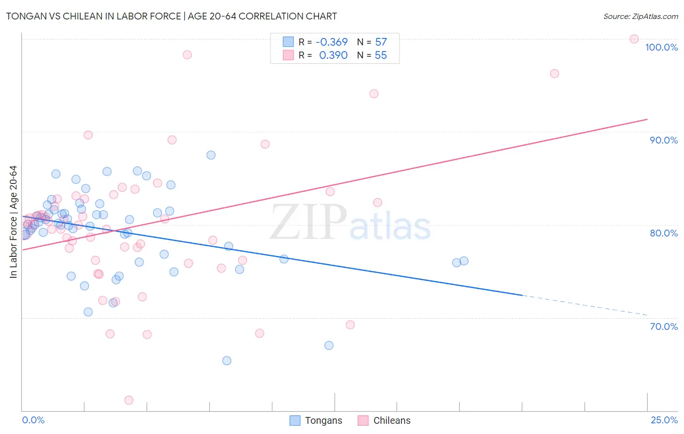 Tongan vs Chilean In Labor Force | Age 20-64
