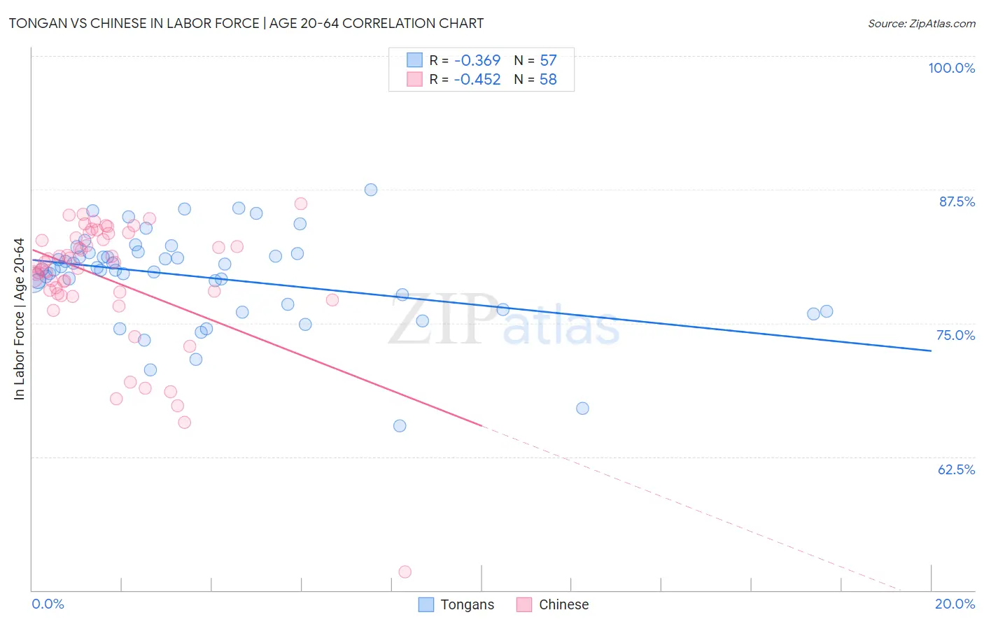 Tongan vs Chinese In Labor Force | Age 20-64