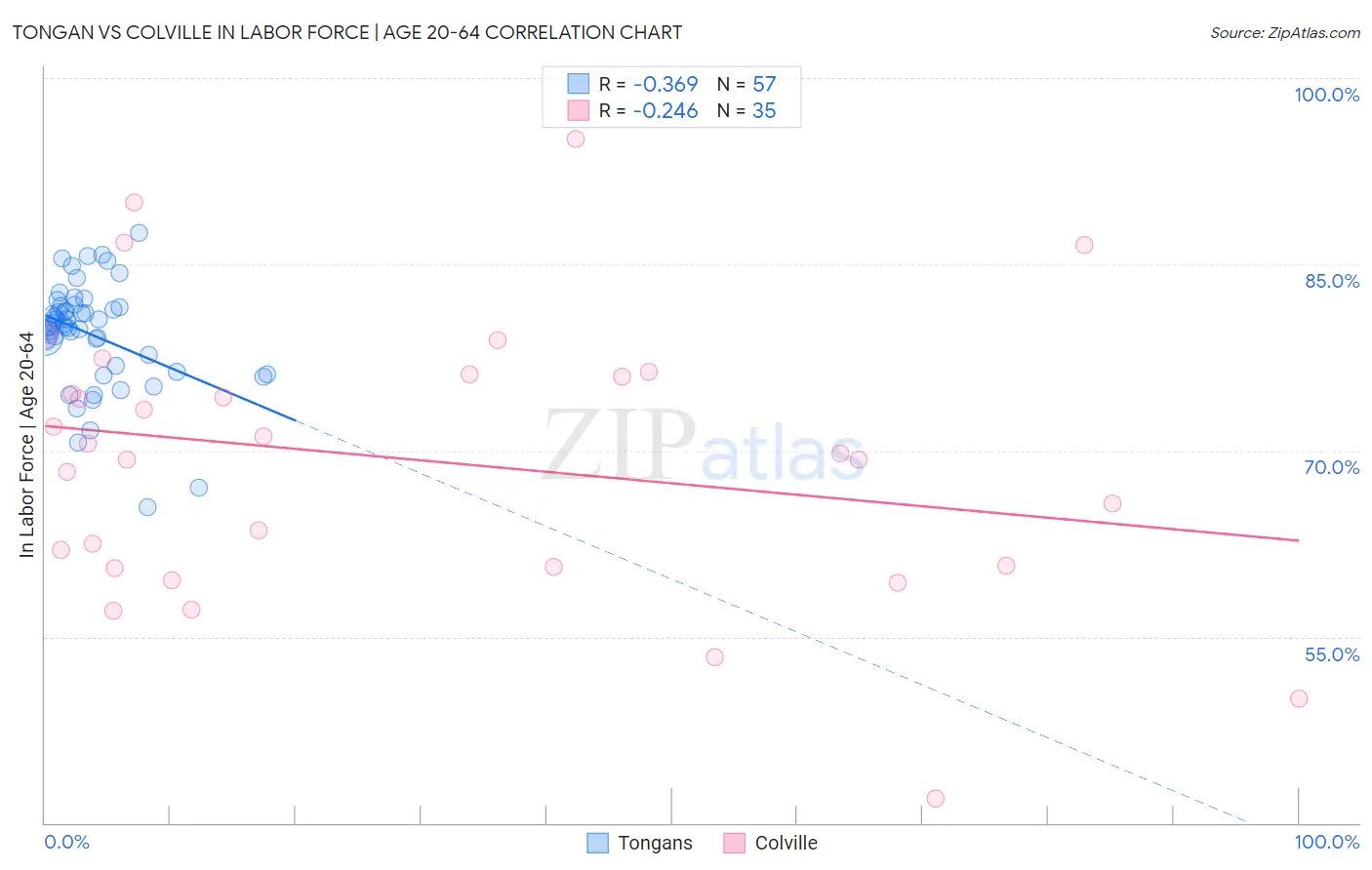 Tongan vs Colville In Labor Force | Age 20-64