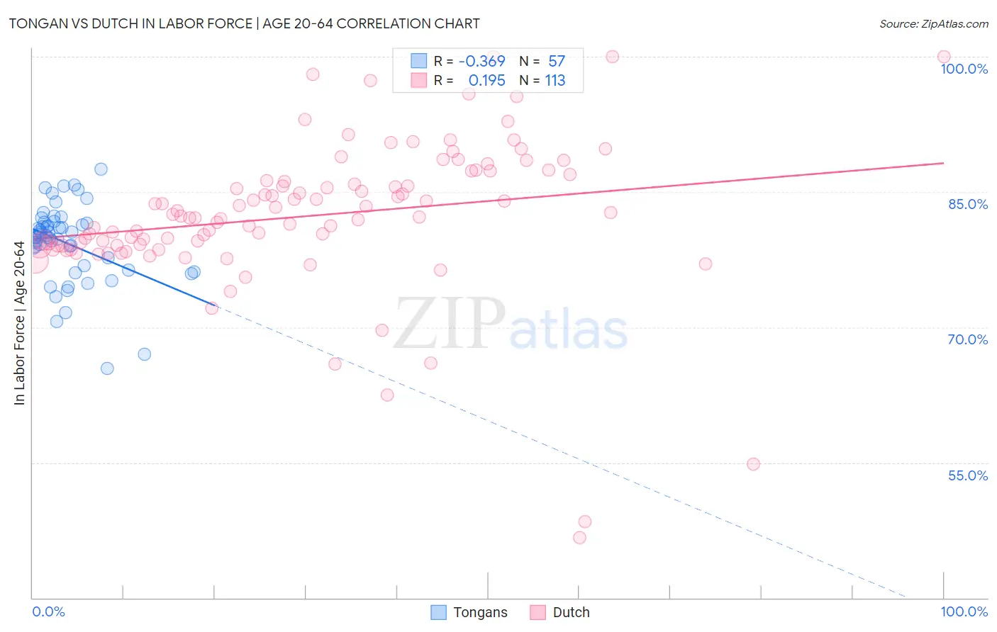 Tongan vs Dutch In Labor Force | Age 20-64