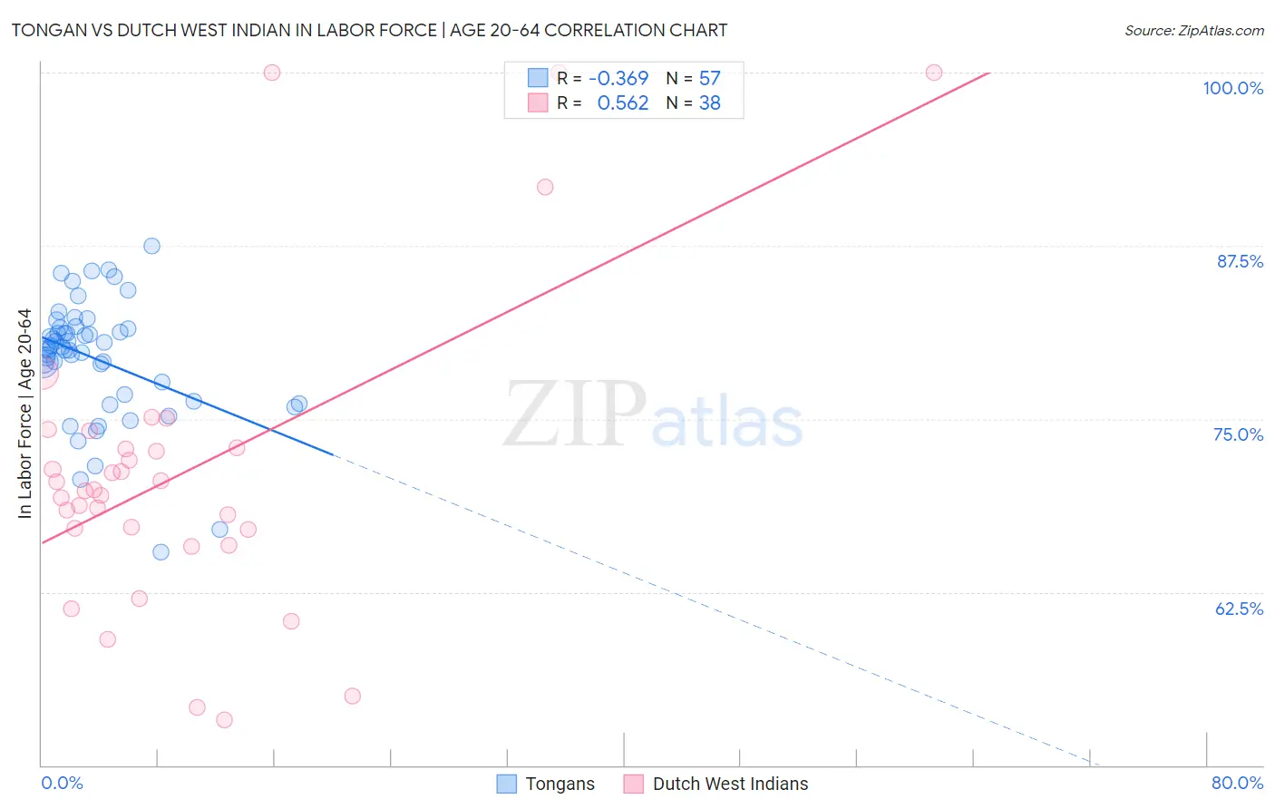 Tongan vs Dutch West Indian In Labor Force | Age 20-64