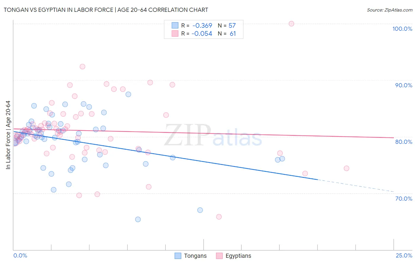 Tongan vs Egyptian In Labor Force | Age 20-64