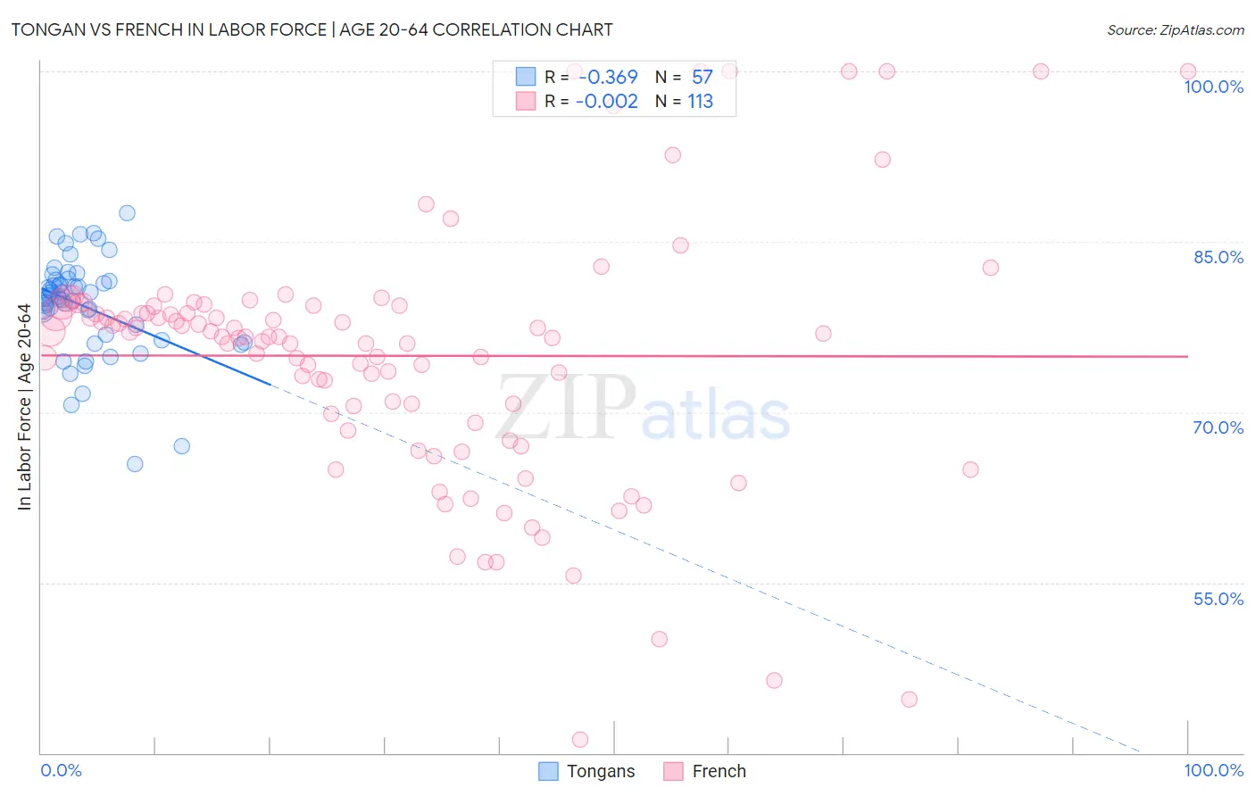 Tongan vs French In Labor Force | Age 20-64