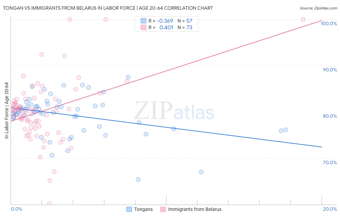 Tongan vs Immigrants from Belarus In Labor Force | Age 20-64