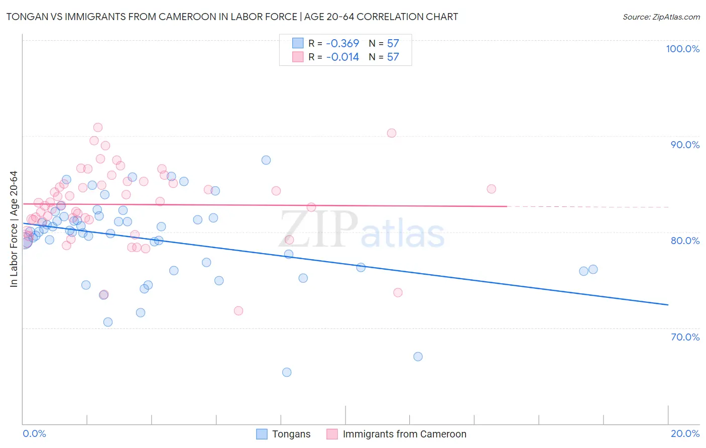 Tongan vs Immigrants from Cameroon In Labor Force | Age 20-64