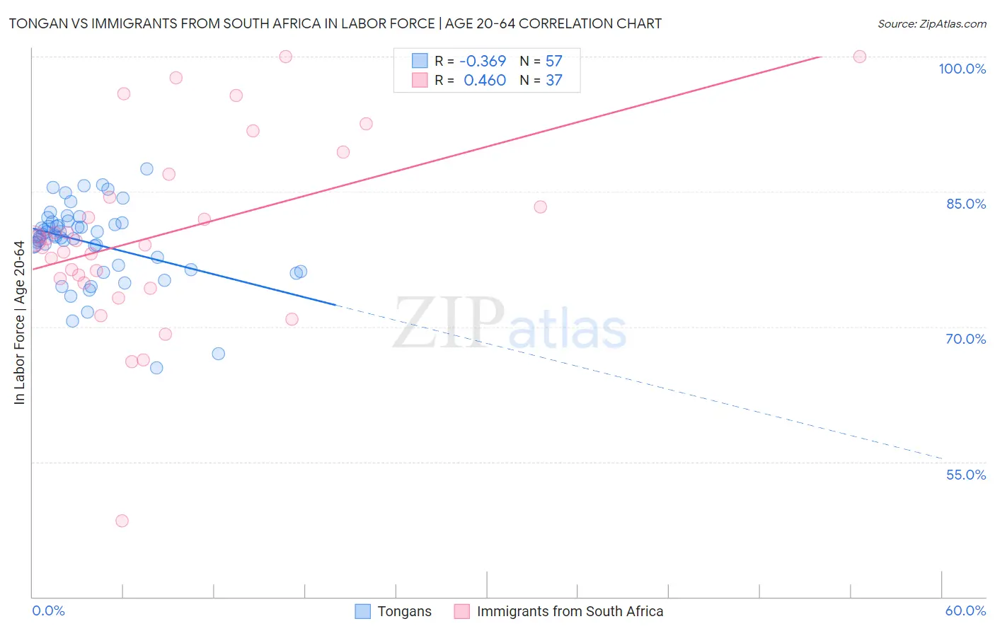 Tongan vs Immigrants from South Africa In Labor Force | Age 20-64