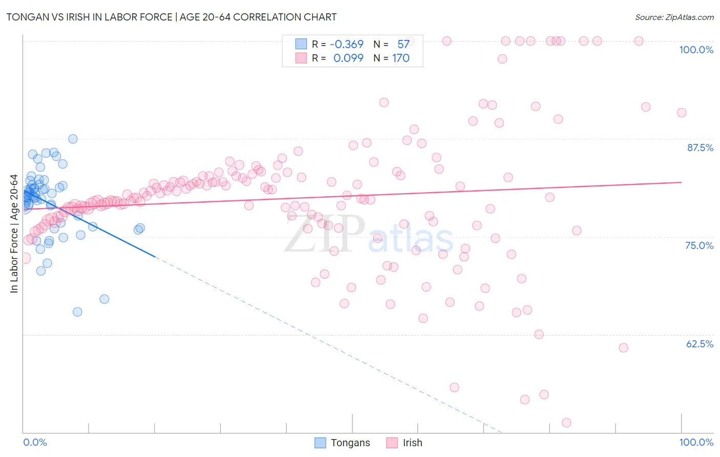 Tongan vs Irish In Labor Force | Age 20-64