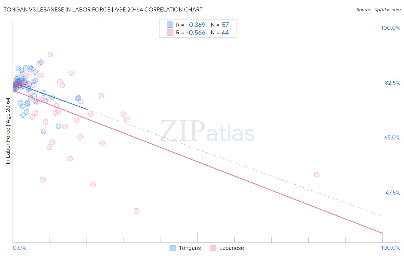 Tongan vs Lebanese In Labor Force | Age 20-64