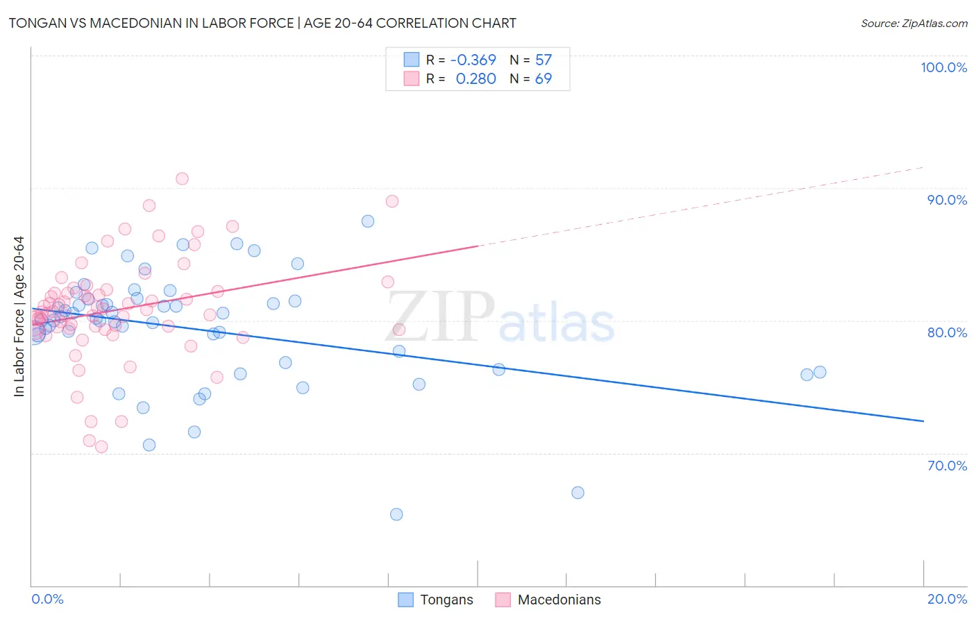 Tongan vs Macedonian In Labor Force | Age 20-64