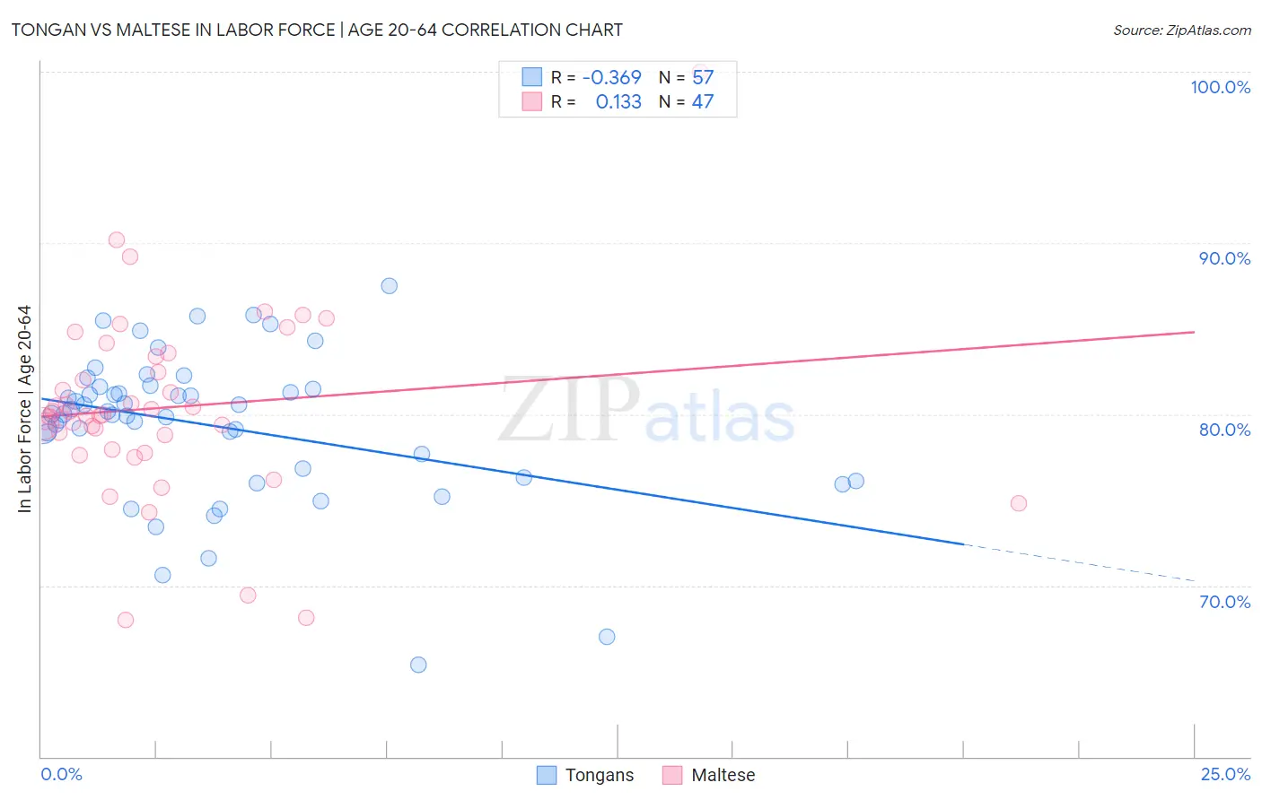 Tongan vs Maltese In Labor Force | Age 20-64