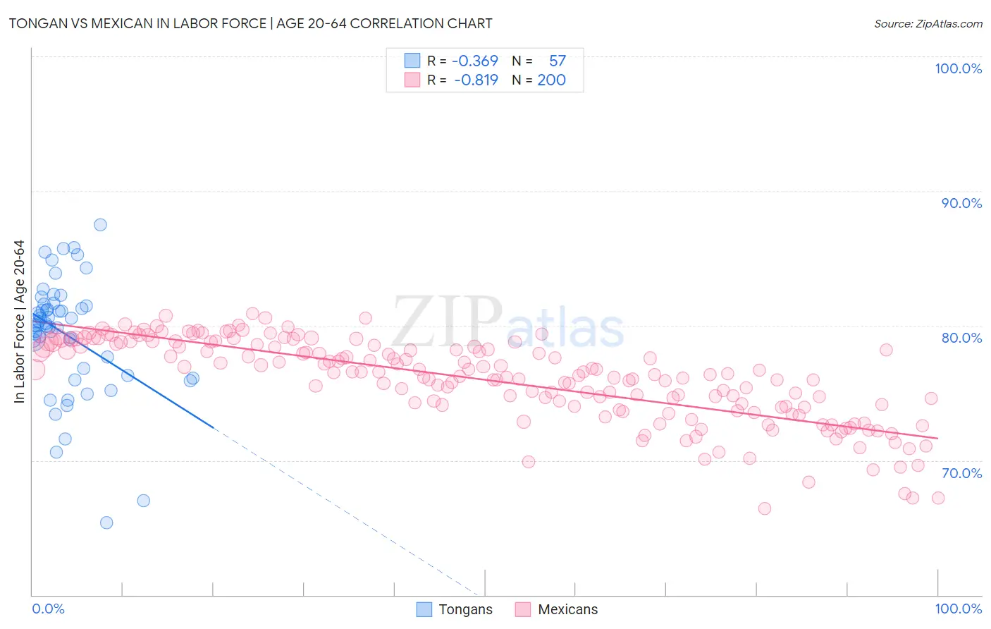 Tongan vs Mexican In Labor Force | Age 20-64