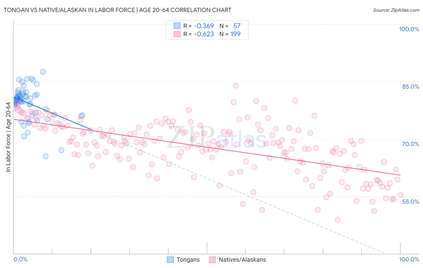 Tongan vs Native/Alaskan In Labor Force | Age 20-64