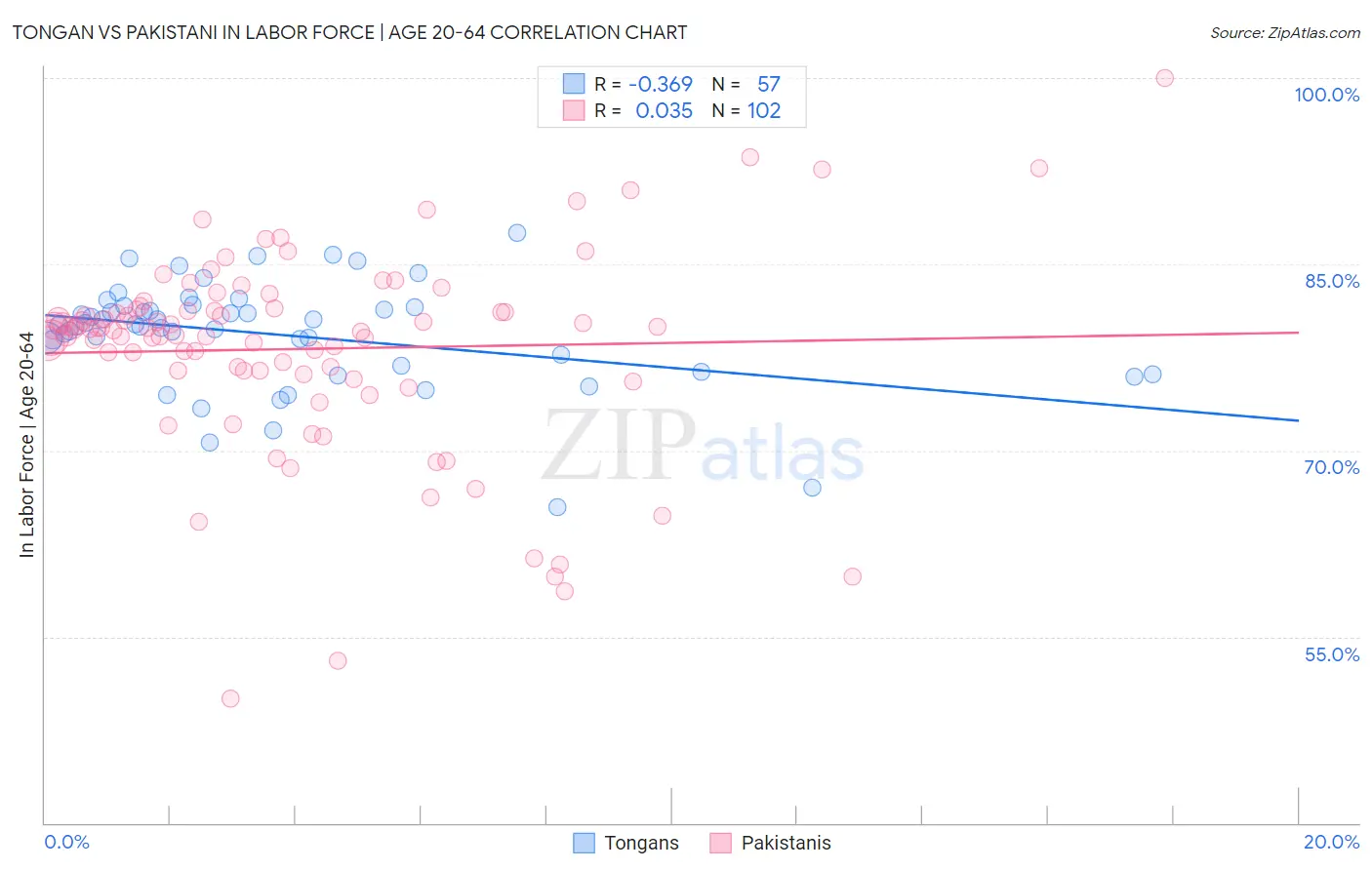 Tongan vs Pakistani In Labor Force | Age 20-64