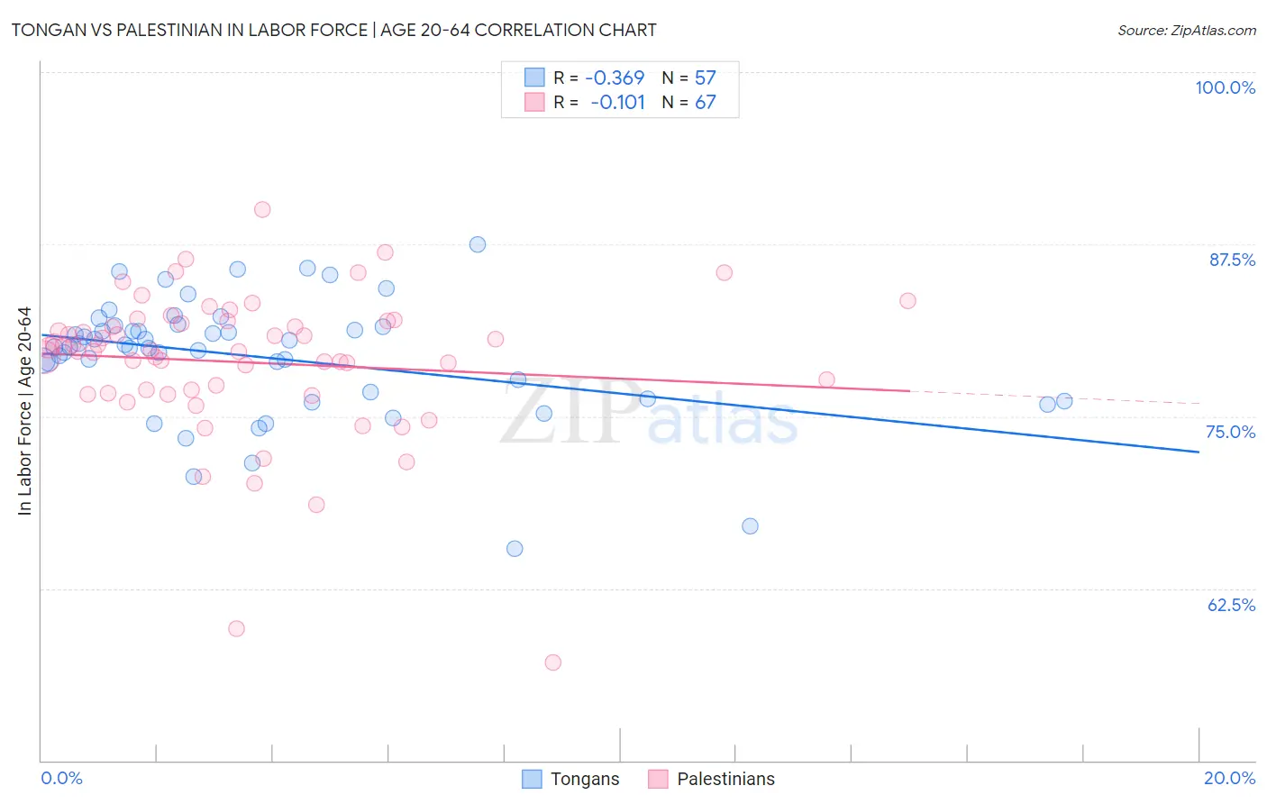 Tongan vs Palestinian In Labor Force | Age 20-64