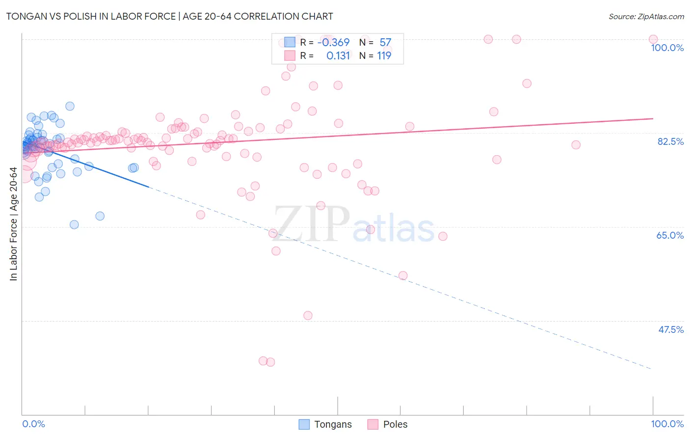 Tongan vs Polish In Labor Force | Age 20-64