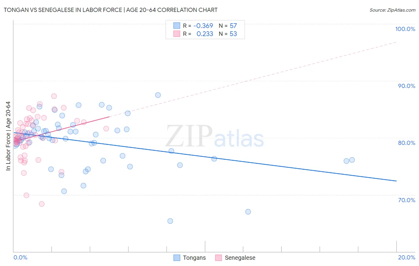 Tongan vs Senegalese In Labor Force | Age 20-64