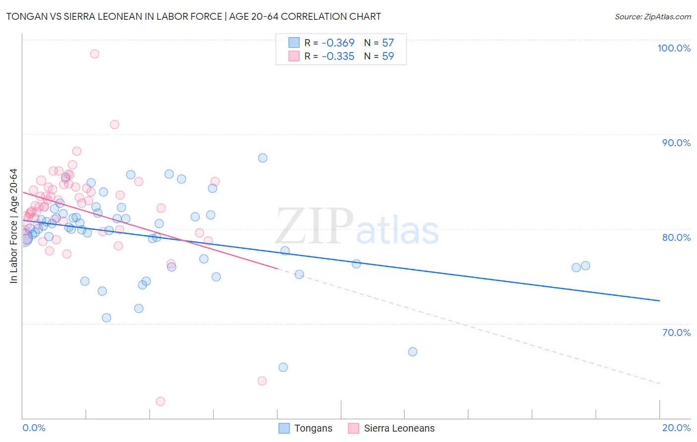 Tongan vs Sierra Leonean In Labor Force | Age 20-64