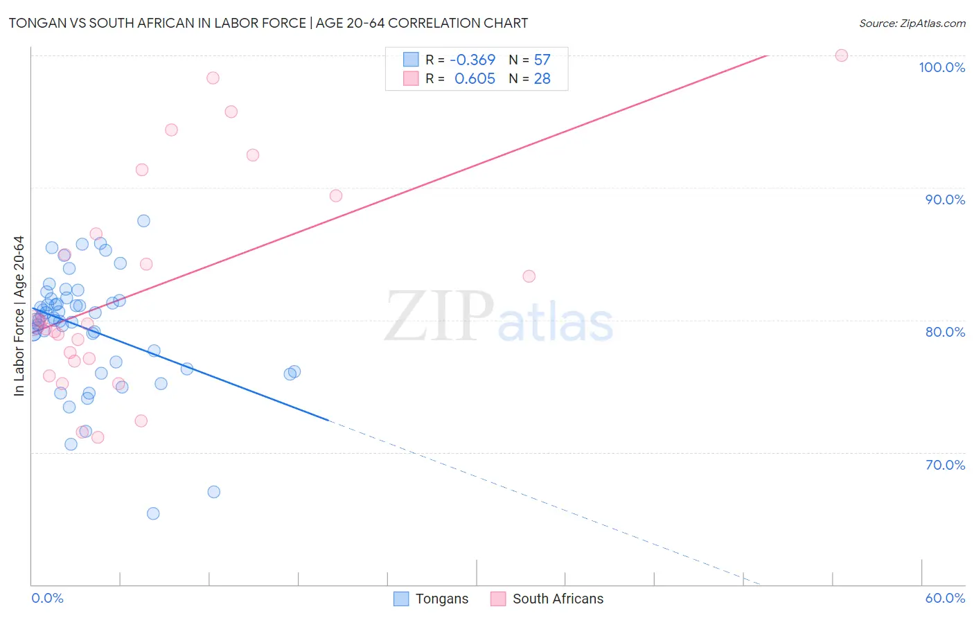 Tongan vs South African In Labor Force | Age 20-64