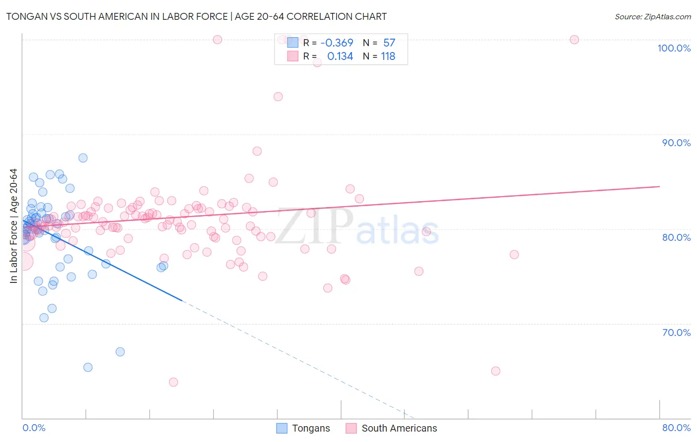 Tongan vs South American In Labor Force | Age 20-64
