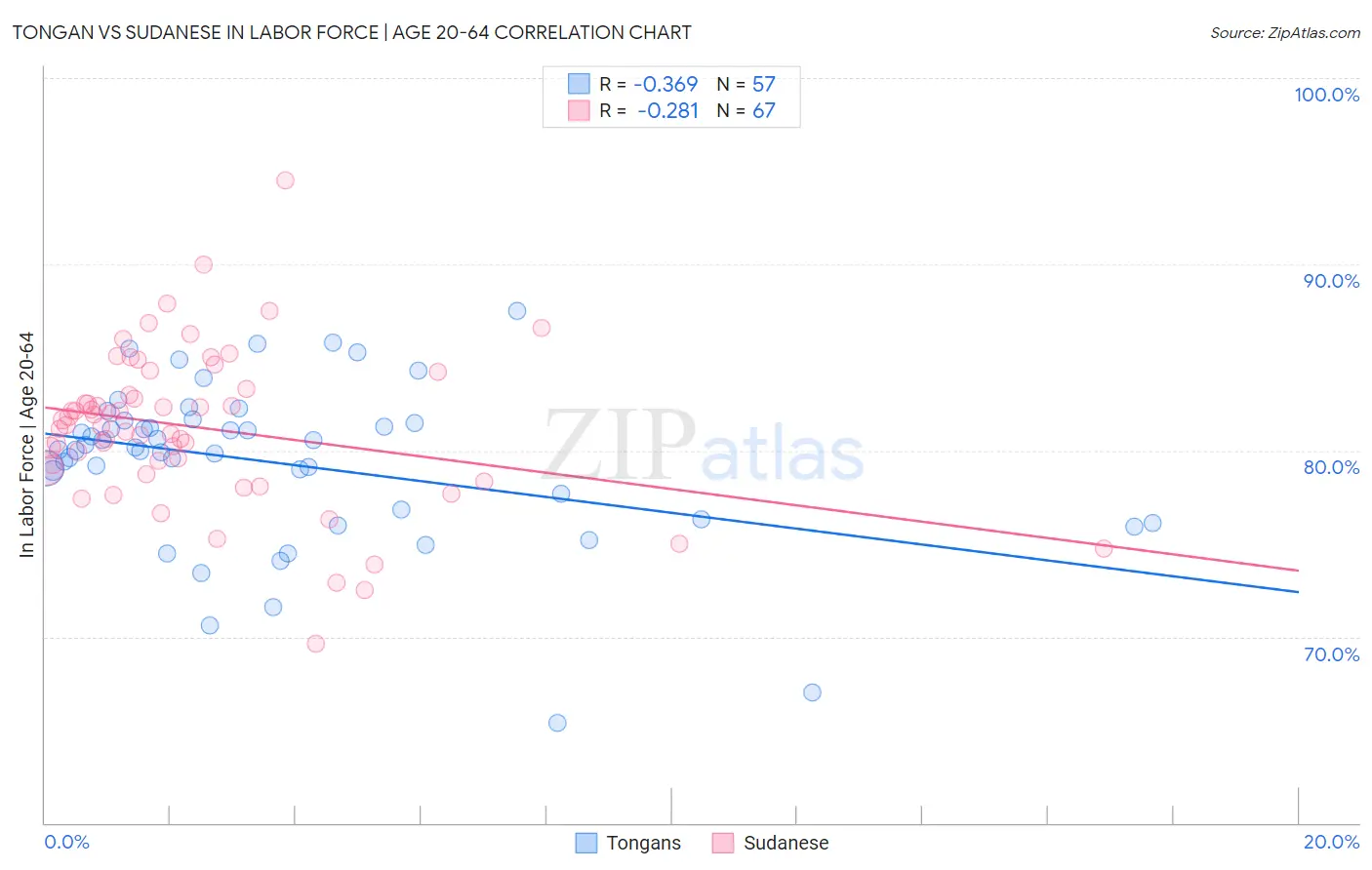 Tongan vs Sudanese In Labor Force | Age 20-64