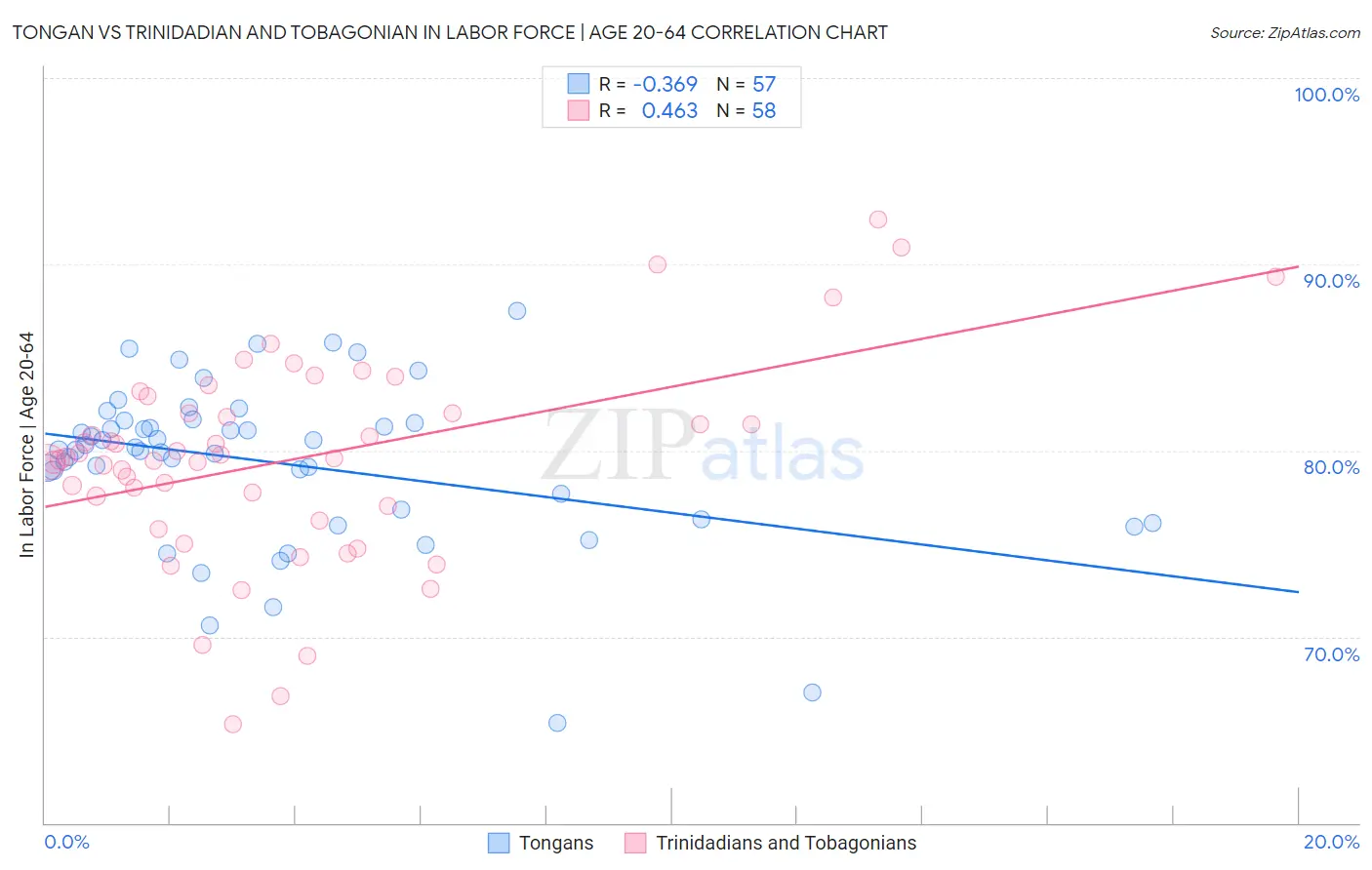 Tongan vs Trinidadian and Tobagonian In Labor Force | Age 20-64