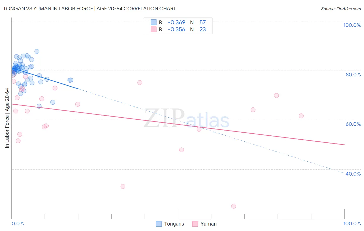 Tongan vs Yuman In Labor Force | Age 20-64