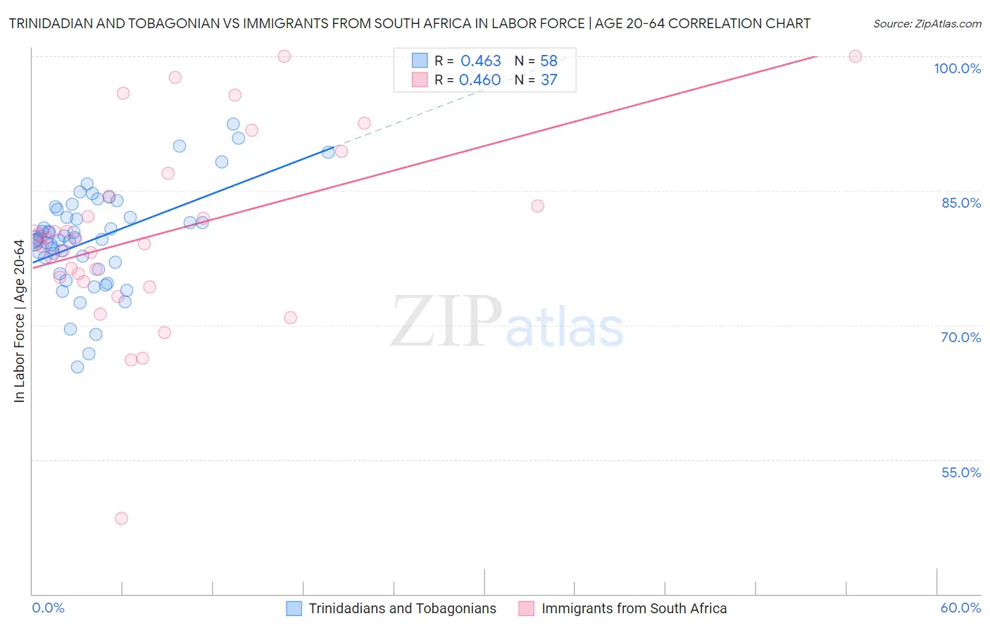 Trinidadian and Tobagonian vs Immigrants from South Africa In Labor Force | Age 20-64