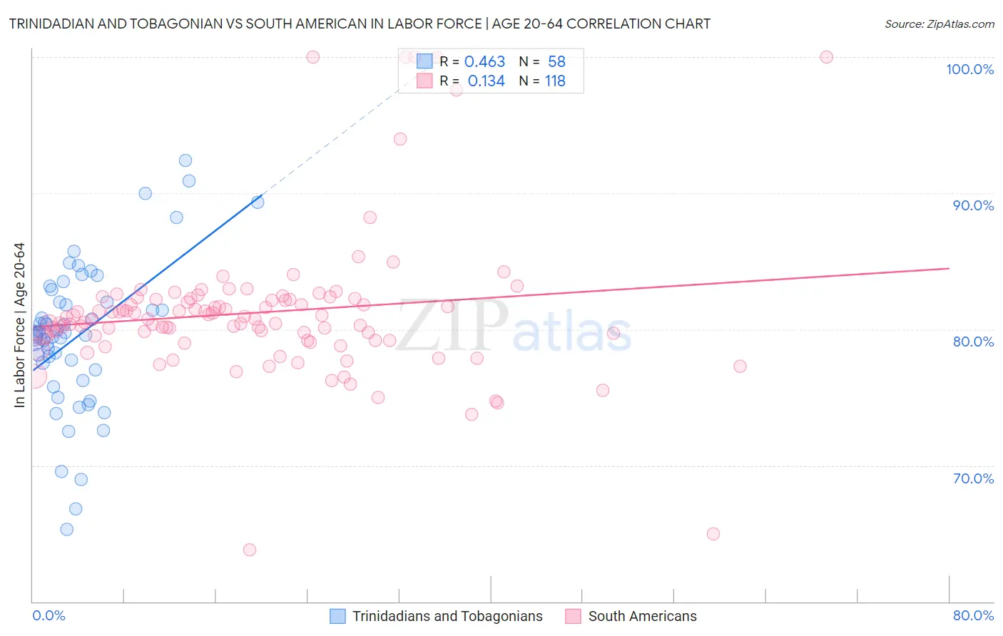 Trinidadian and Tobagonian vs South American In Labor Force | Age 20-64