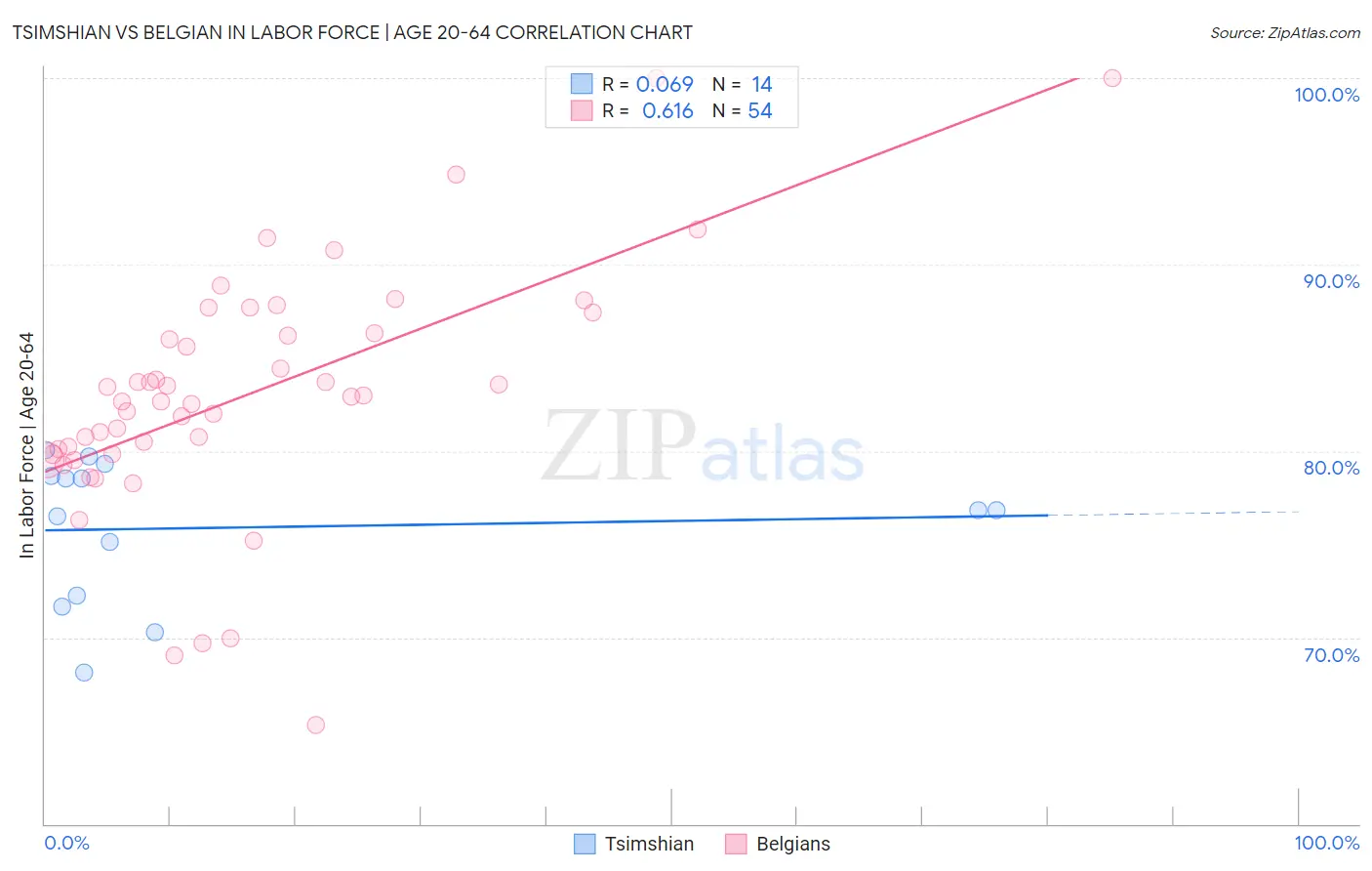 Tsimshian vs Belgian In Labor Force | Age 20-64