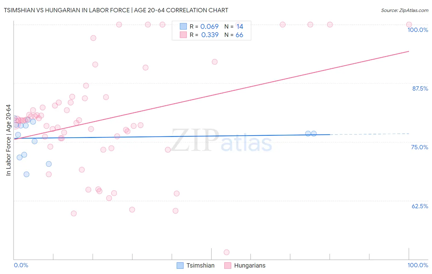 Tsimshian vs Hungarian In Labor Force | Age 20-64