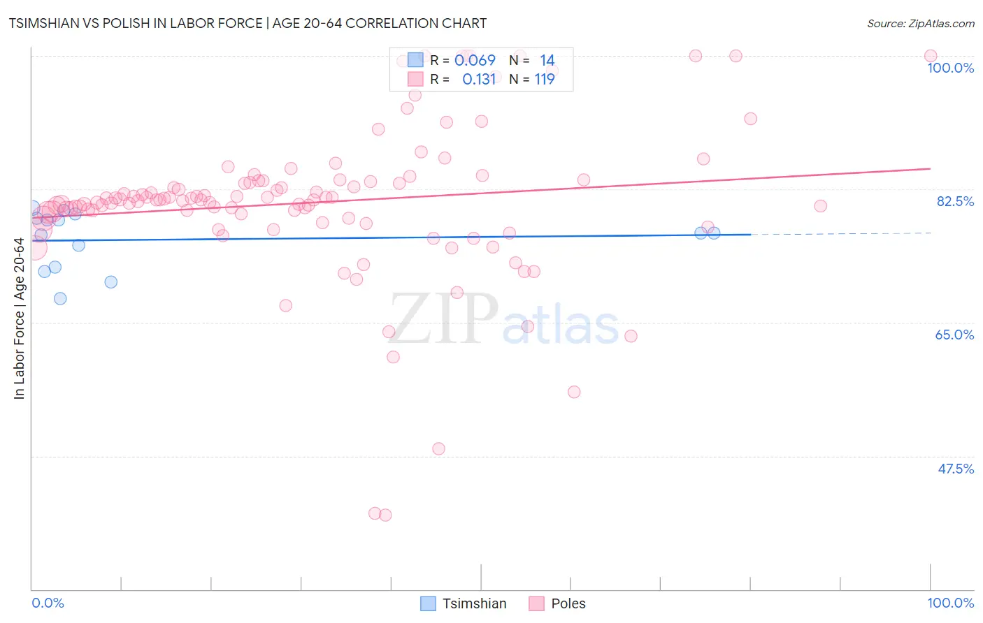 Tsimshian vs Polish In Labor Force | Age 20-64