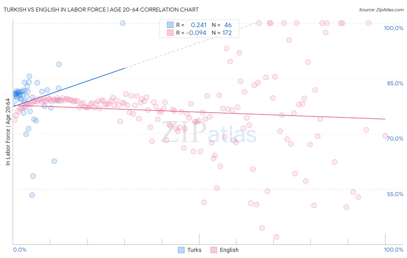 Turkish vs English In Labor Force | Age 20-64