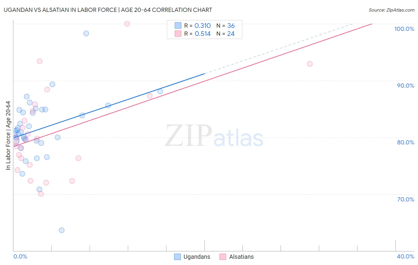 Ugandan vs Alsatian In Labor Force | Age 20-64