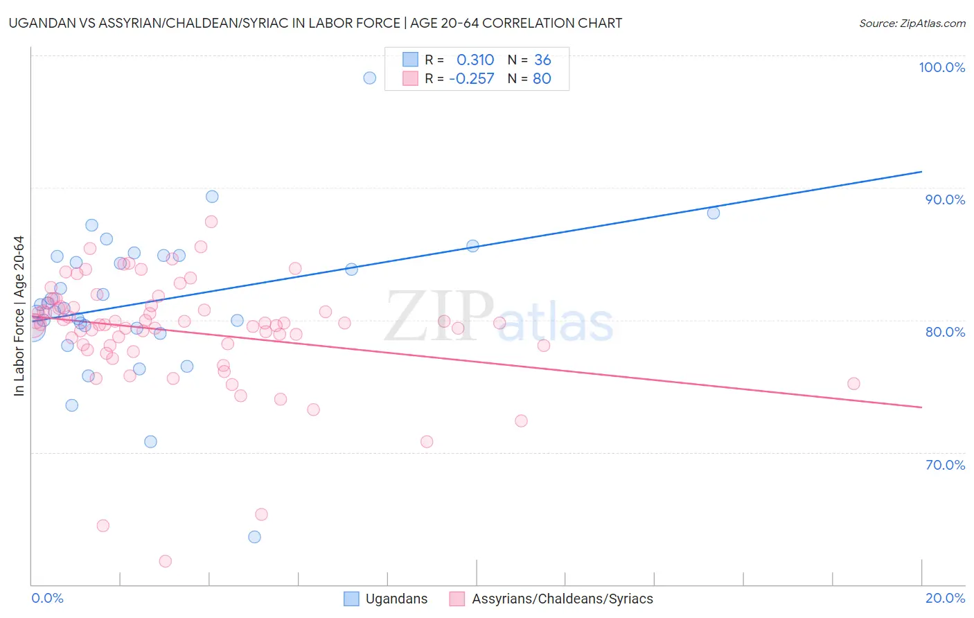 Ugandan vs Assyrian/Chaldean/Syriac In Labor Force | Age 20-64