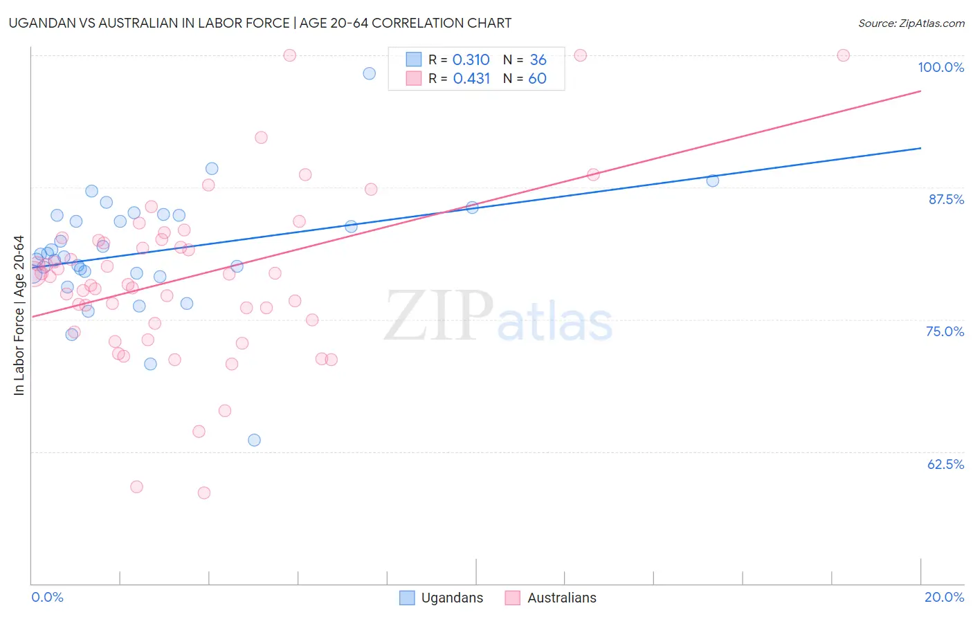 Ugandan vs Australian In Labor Force | Age 20-64