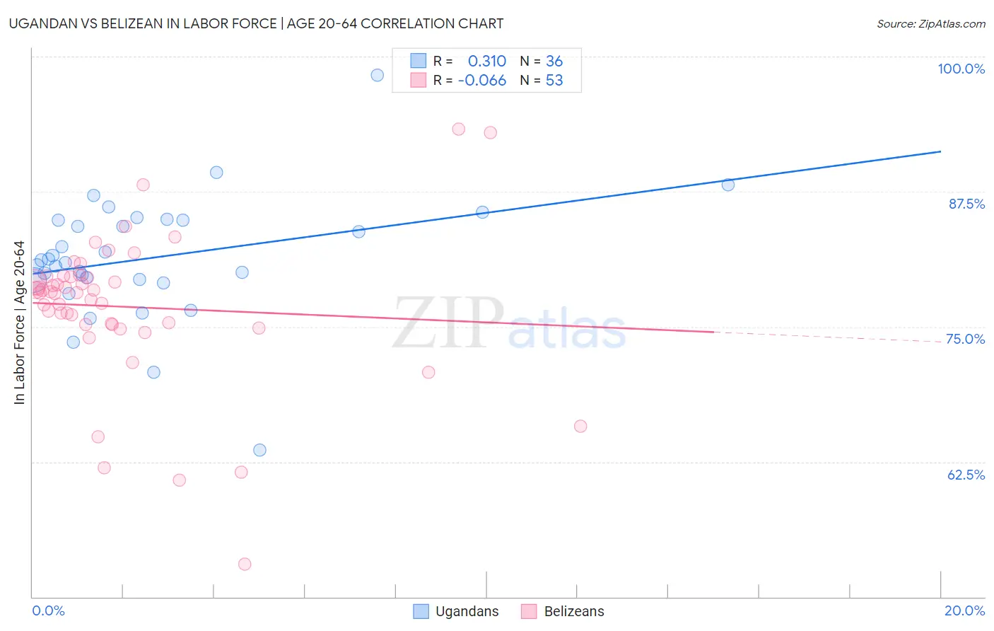 Ugandan vs Belizean In Labor Force | Age 20-64