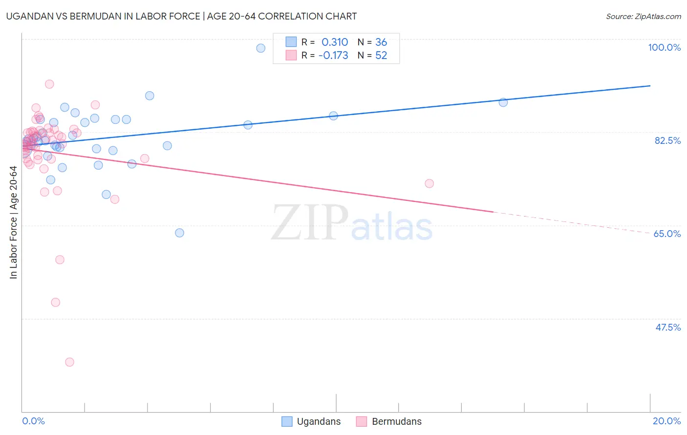 Ugandan vs Bermudan In Labor Force | Age 20-64