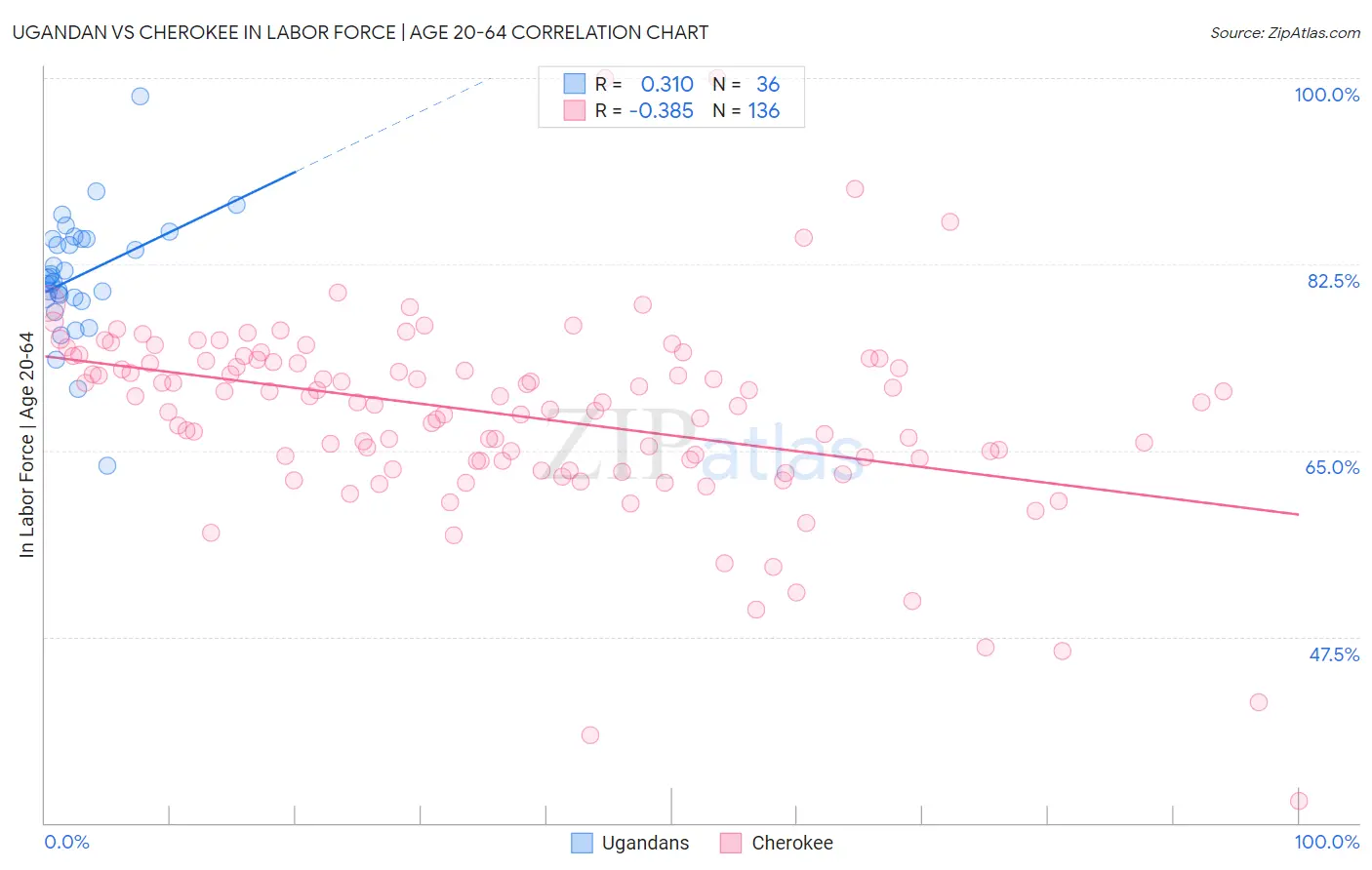 Ugandan vs Cherokee In Labor Force | Age 20-64