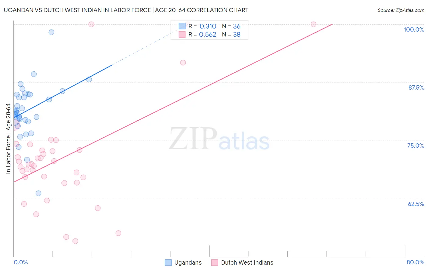 Ugandan vs Dutch West Indian In Labor Force | Age 20-64