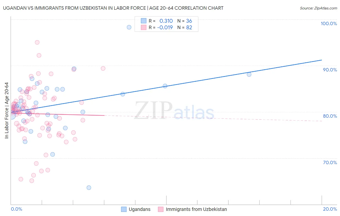 Ugandan vs Immigrants from Uzbekistan In Labor Force | Age 20-64