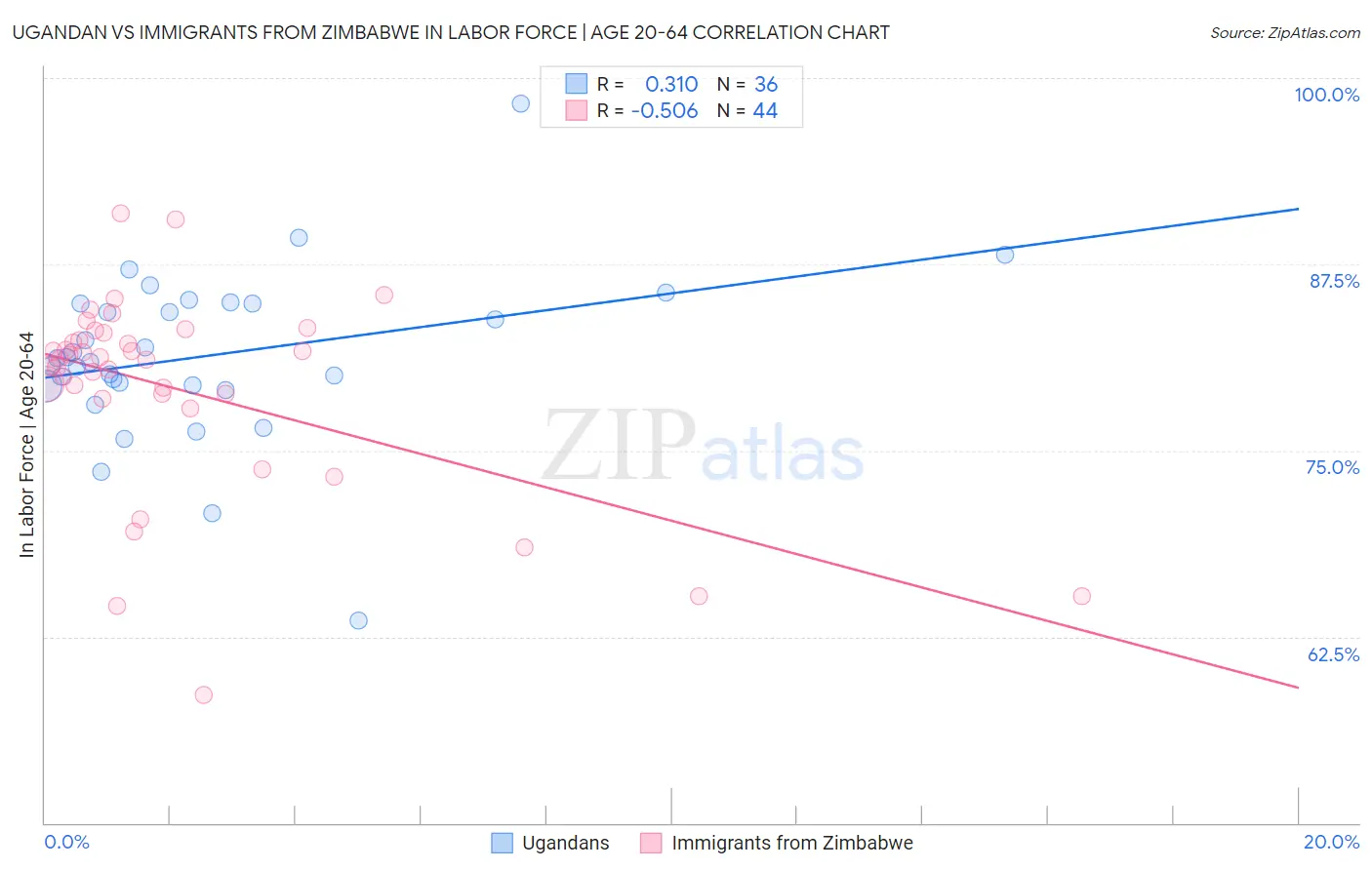Ugandan vs Immigrants from Zimbabwe In Labor Force | Age 20-64