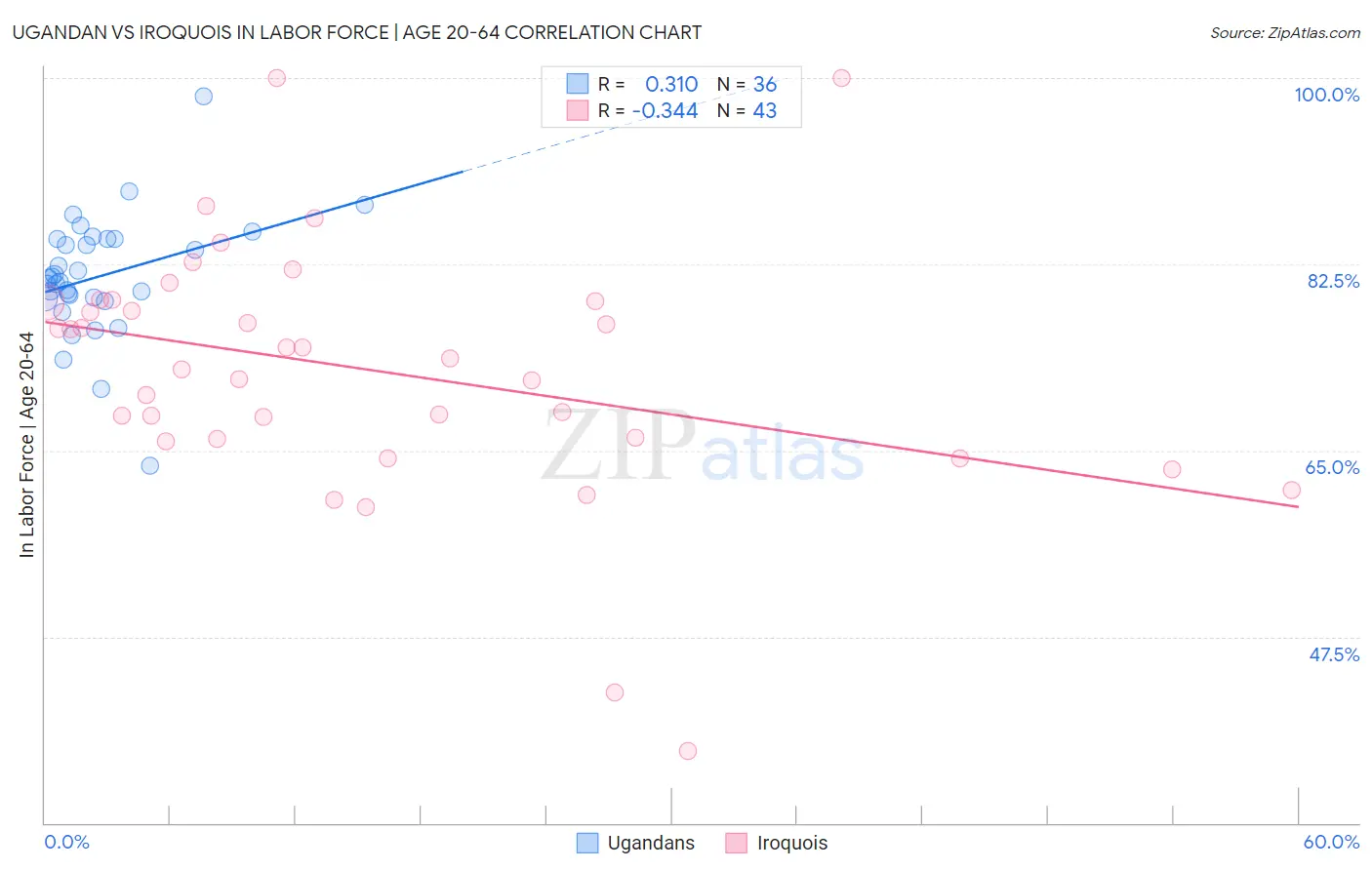 Ugandan vs Iroquois In Labor Force | Age 20-64