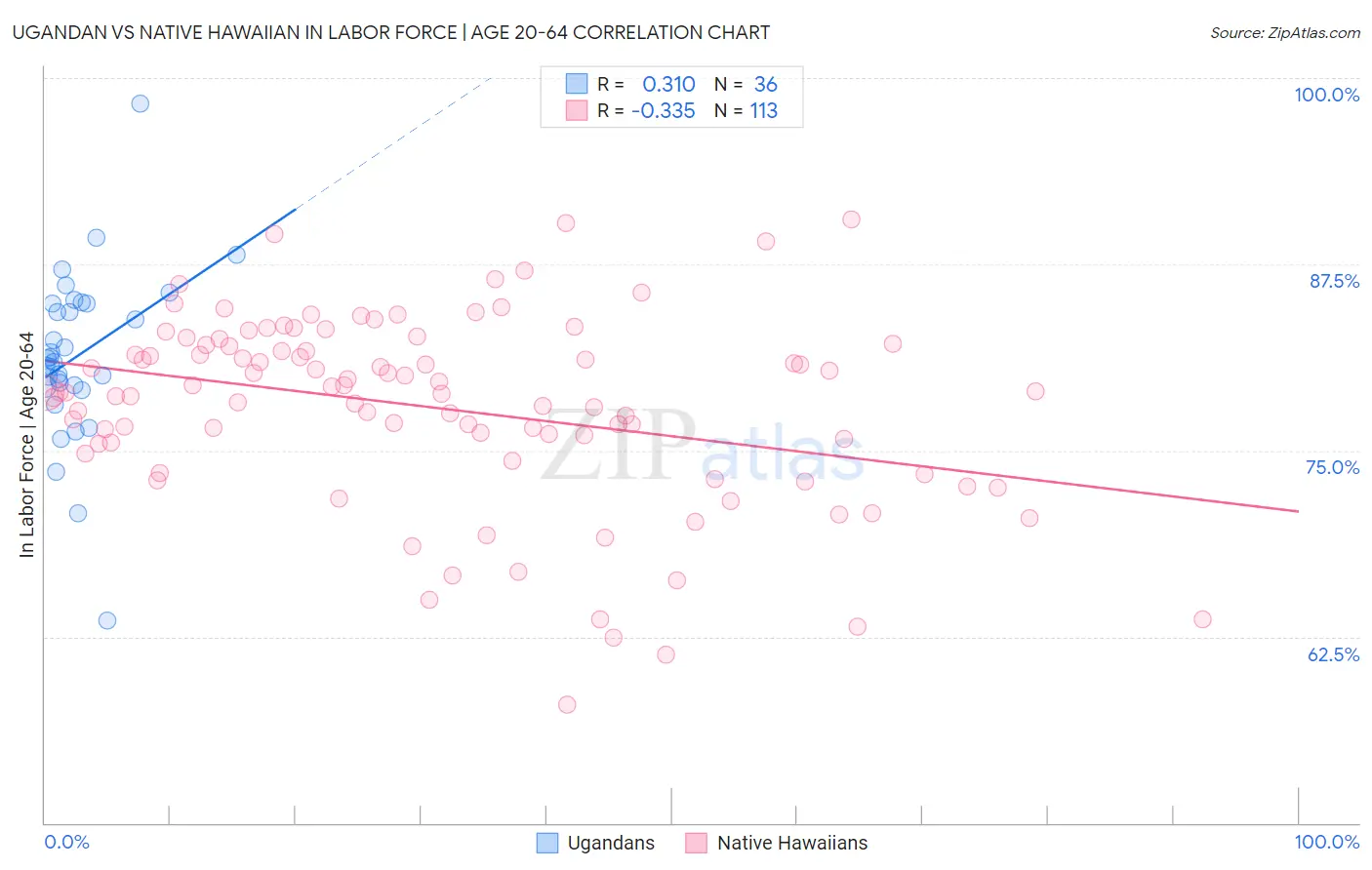 Ugandan vs Native Hawaiian In Labor Force | Age 20-64