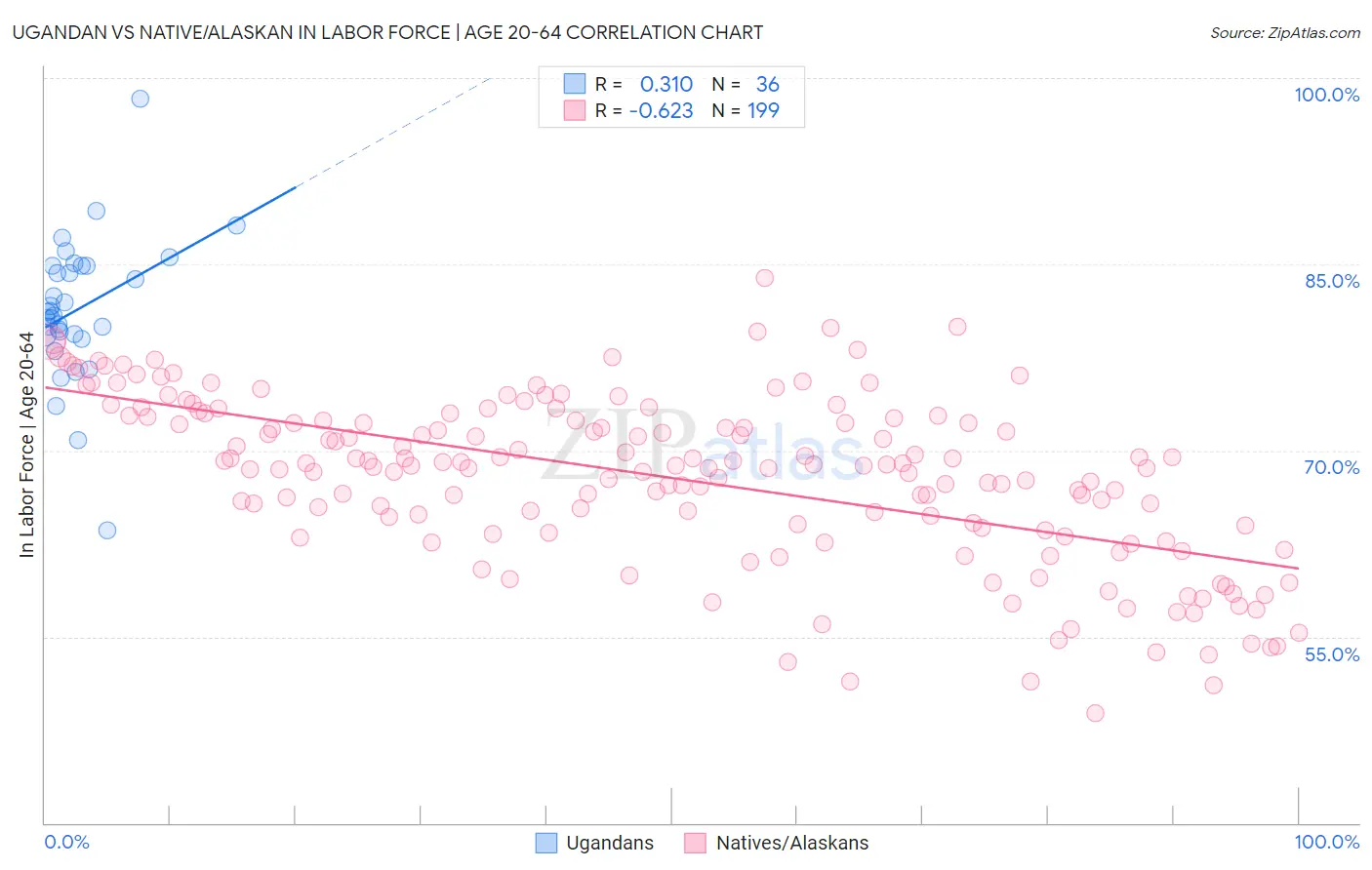 Ugandan vs Native/Alaskan In Labor Force | Age 20-64